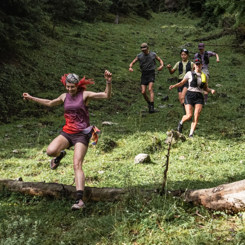 Groupe de traileurs dans une prairie de montagne